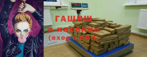индика Аркадак