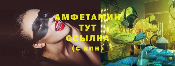 индика Аркадак