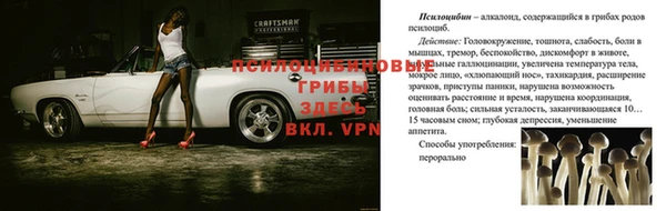 a pvp Арсеньев