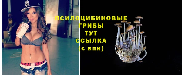 кокс Армянск