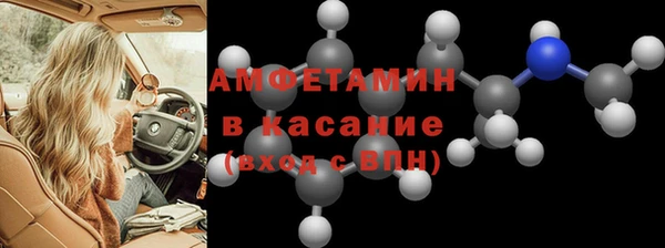 индика Аркадак