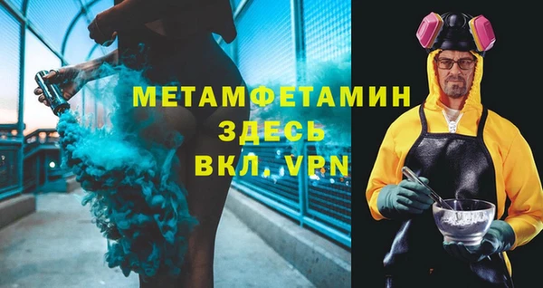 индика Аркадак