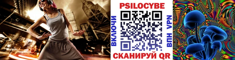 Галлюциногенные грибы Cubensis  магазин  наркотиков  Котельниково 